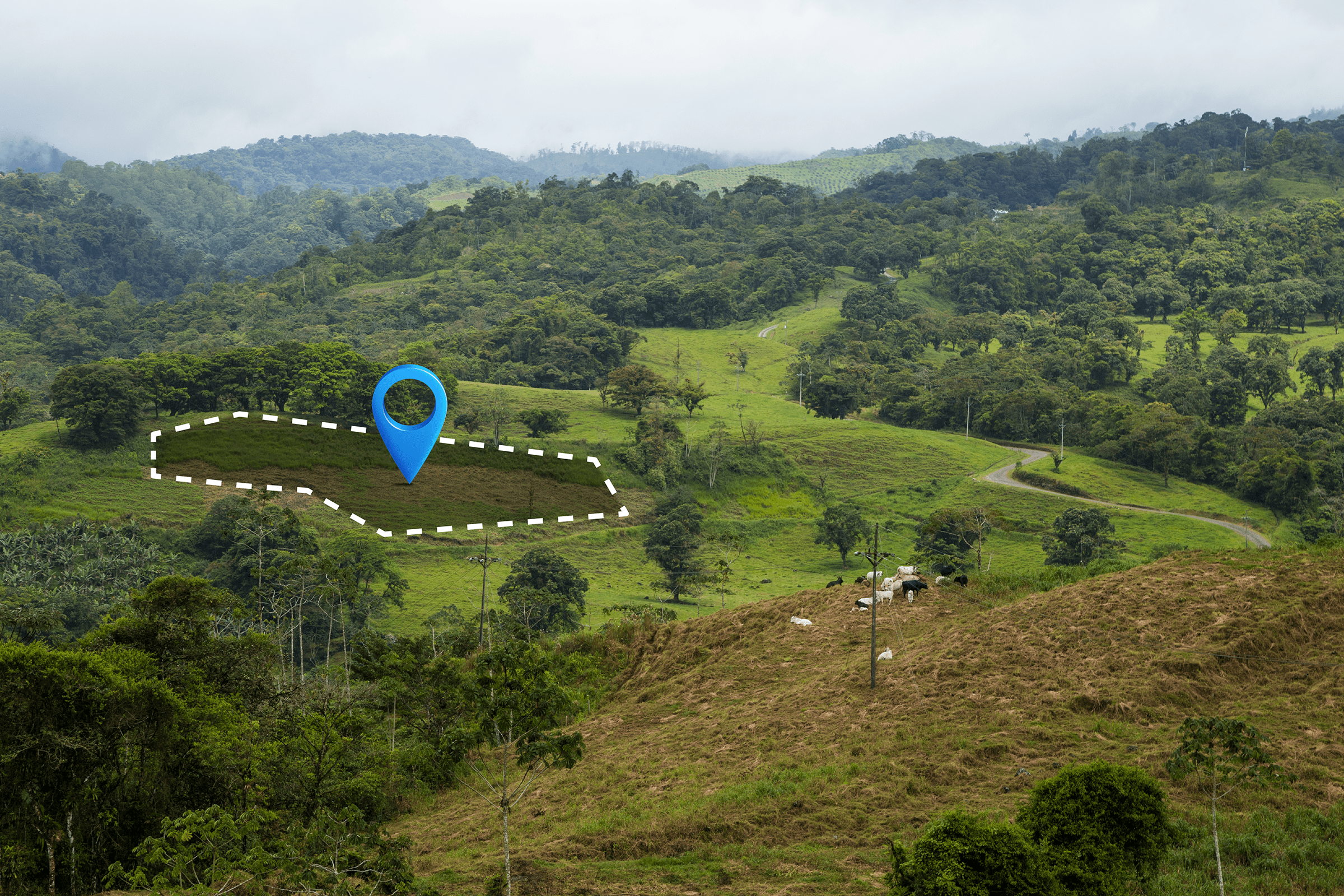 Looking to invest in Kodaikanal real estate? Here’s what you need to know.
